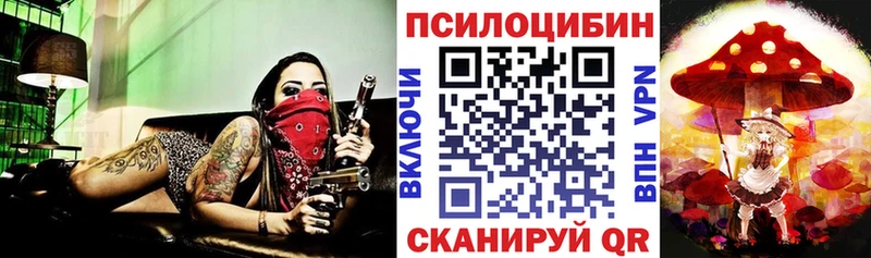Псилоцибиновые грибы Psilocybe  Москва 